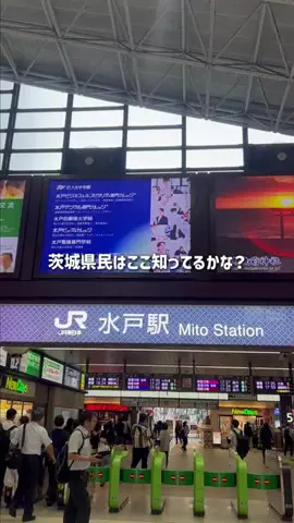 茨城グルメ／IBARAKI SELECTのTikTok投稿