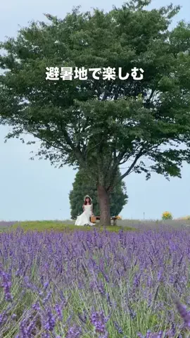 【公式】観光三重（三重県観光連盟）のTikTok投稿