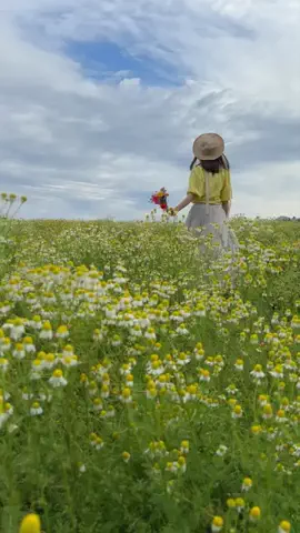【公式】観光三重（三重県観光連盟）のTikTok投稿