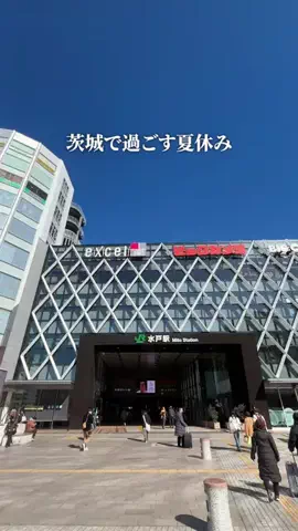 茨城グルメ／IBARAKI SELECTのTikTok投稿