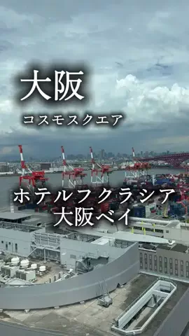 アルコールのひとのTikTok投稿