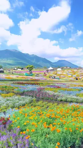tenpaland｜japantrip✈️のTikTok投稿
