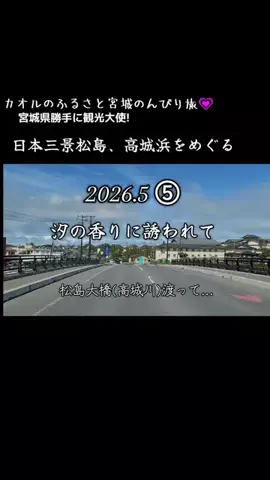 cjカオルのTikTok投稿