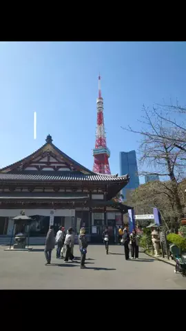 ma-ma-のTikTok投稿