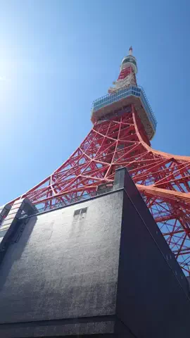 ma-ma-のTikTok投稿