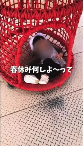 hofumamaのTikTok投稿