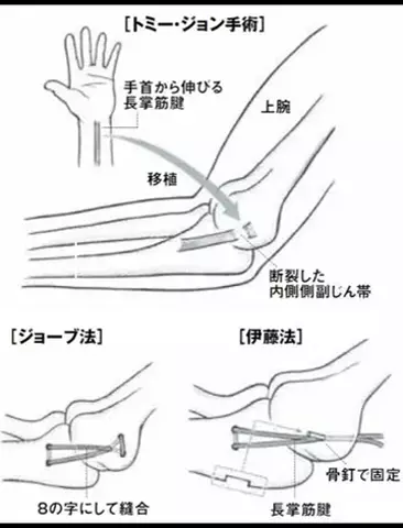 森島悠仁のTikTok投稿