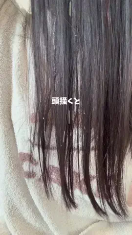 髪ちゅるんねきのTikTok投稿