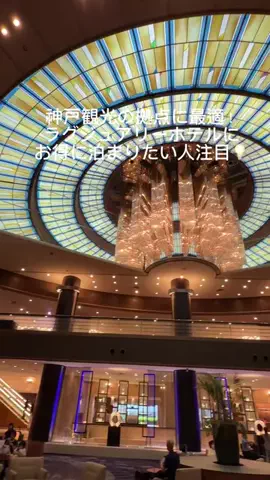 さやたま🐥よくばり旅のTikTok投稿