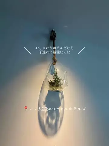 さやたま🐥よくばり旅のTikTok投稿