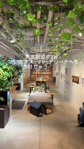 さやたま🐥よくばり旅のTikTok投稿