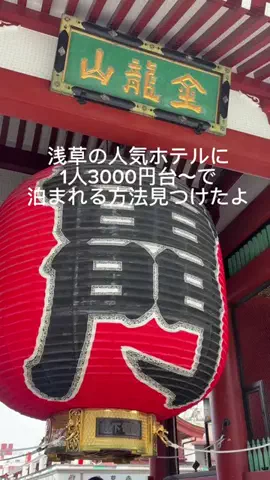 さやたま🐥よくばり旅のTikTok投稿
