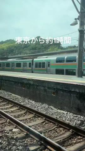 さやたま🐥よくばり旅のTikTok投稿