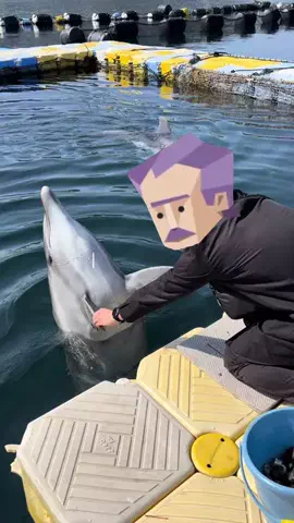 INTJに懐かれましたのTikTok投稿