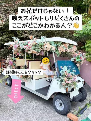 さやたま🐥よくばり旅のTikTok投稿
