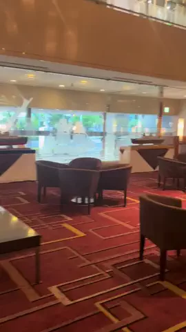 出張や旅行で泊まって良かったホテル紹介🐶KALU🐶のTikTok投稿