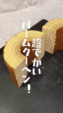GAMEパンダのTikTok投稿