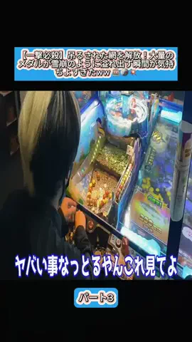 Sakodasaori.JPのTikTok投稿