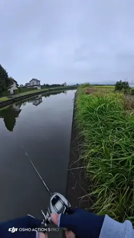 波呂 魁人のTikTok投稿