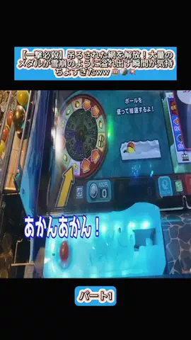 Sakodasaori.JPのTikTok投稿