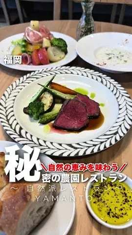 SAGANママのTikTok投稿