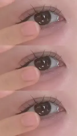 🐻のTikTok投稿