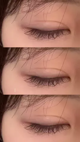 🐻のTikTok投稿