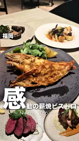 SAGANママのTikTok投稿