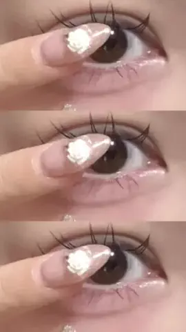 🐻のTikTok投稿