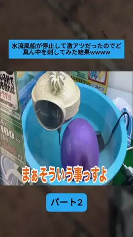 Sakodasaori.JPのTikTok投稿