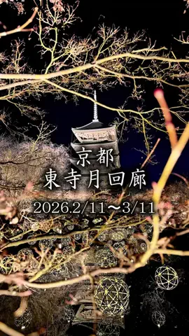 よこみんのTikTok投稿