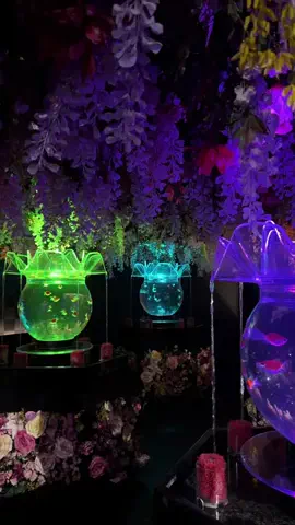 achaのTikTok投稿