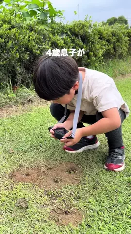 miyuki_ikuji_のTikTok投稿