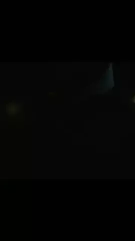 ダーリンとみれ。のTikTok投稿