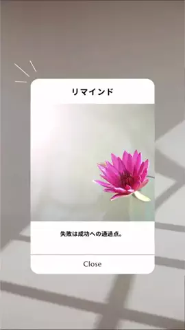 MaeのTikTok投稿