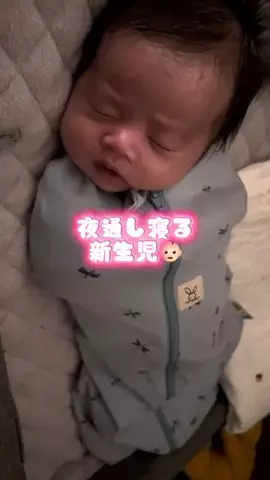 H♡のTikTok投稿