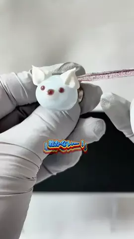 PualeiのTikTok投稿