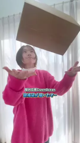 PualeiのTikTok投稿