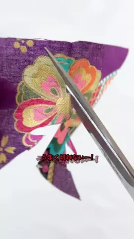 PualeiのTikTok投稿