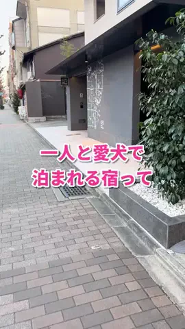 お得発見ちゃん。のTikTok投稿