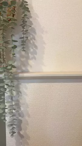 yumeのTikTok投稿