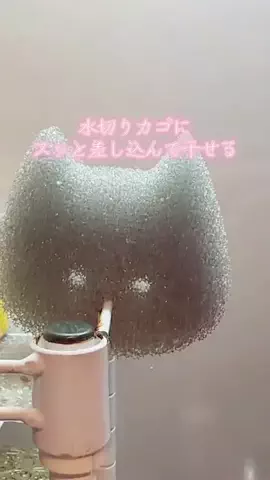 y_urin_aのTikTok投稿