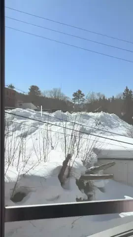 旅する夫婦 🚗🇯🇵のTikTok投稿