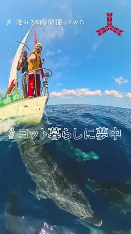 Tanaka en Mexico 🇯🇵🇲🇽のTikTok投稿