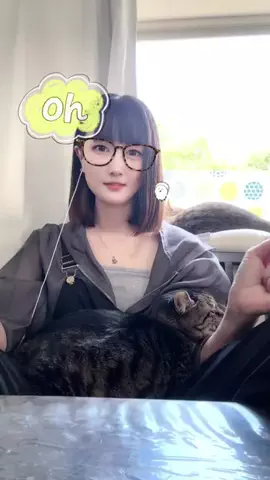 ひかる🎀山田さんちは猫まみれのTikTok投稿