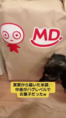 みかりんのTikTok投稿