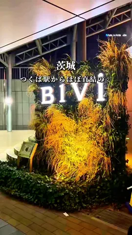 そら/つくば発の週末デート・お出かけのTikTok投稿