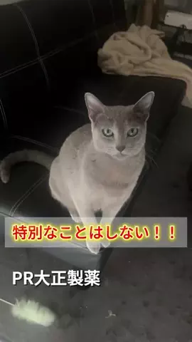 桜井はなこのTikTok投稿