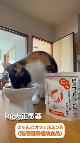 桜井はなこのTikTok投稿