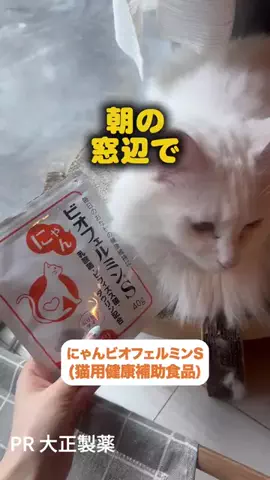 桜井はなこのTikTok投稿